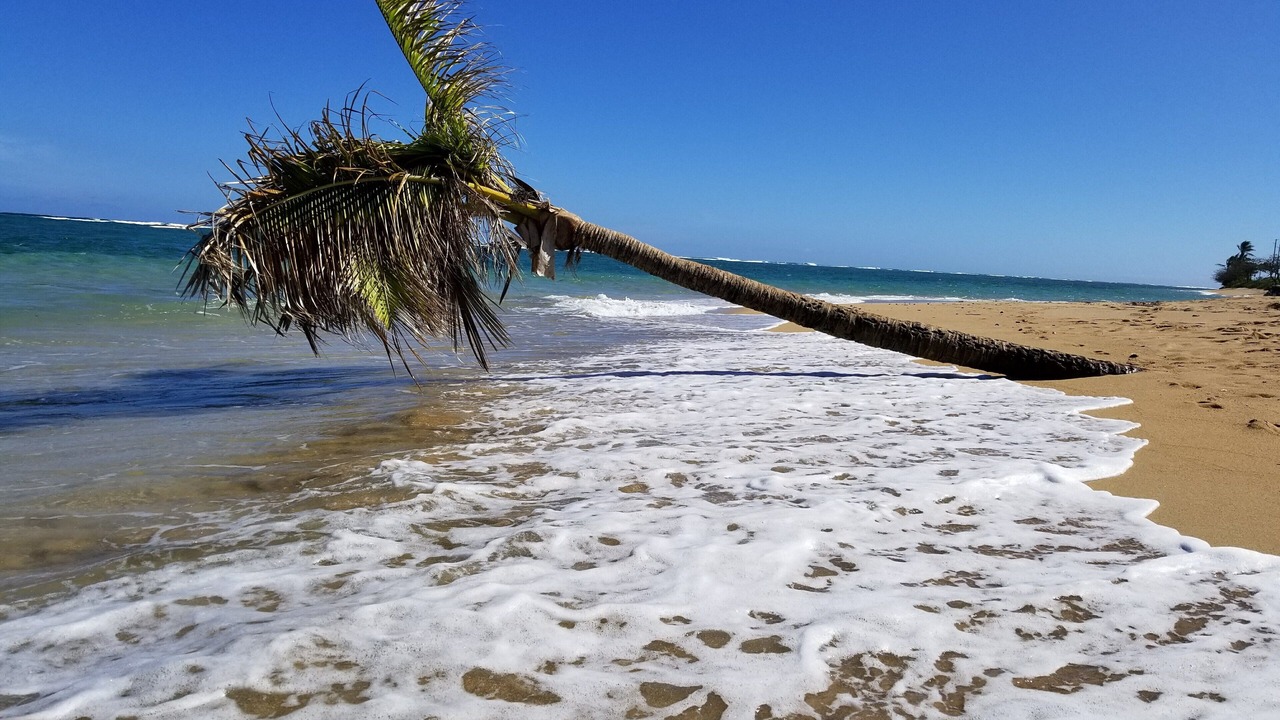 Photo of Others in Hauula