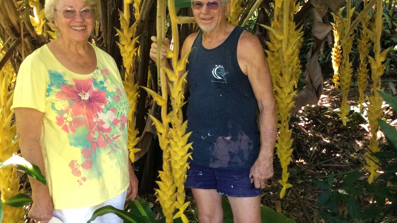 Photo of Others in Hana