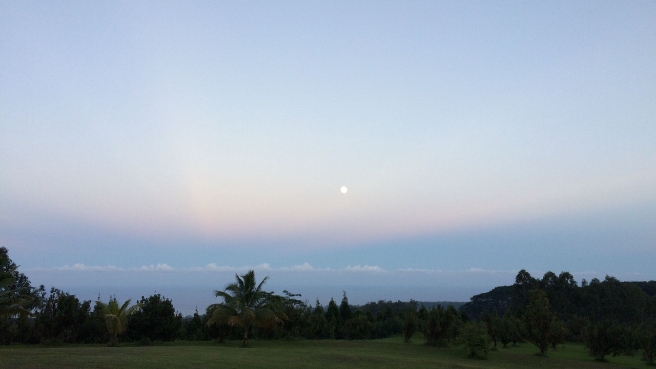 Photo of Others in Hakalau