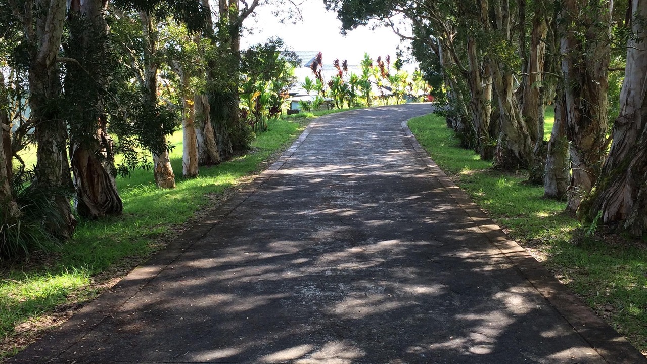 Photo of Others in Hakalau