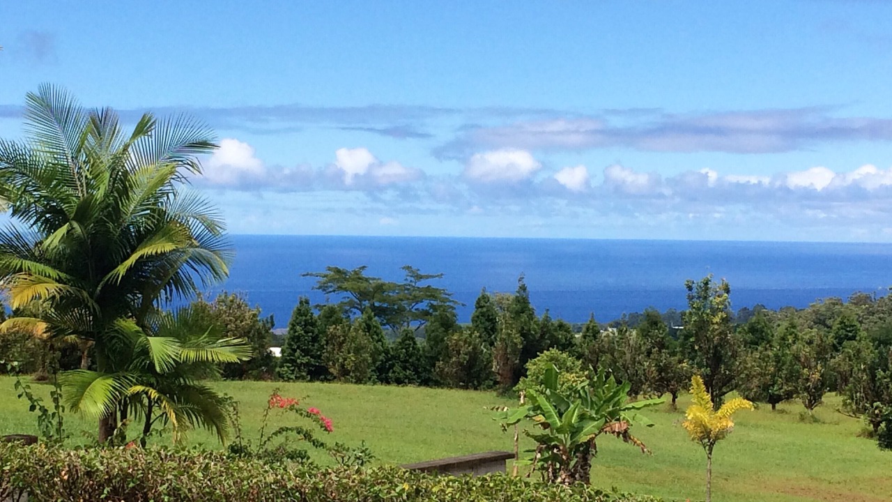 Photo of Others in Hakalau