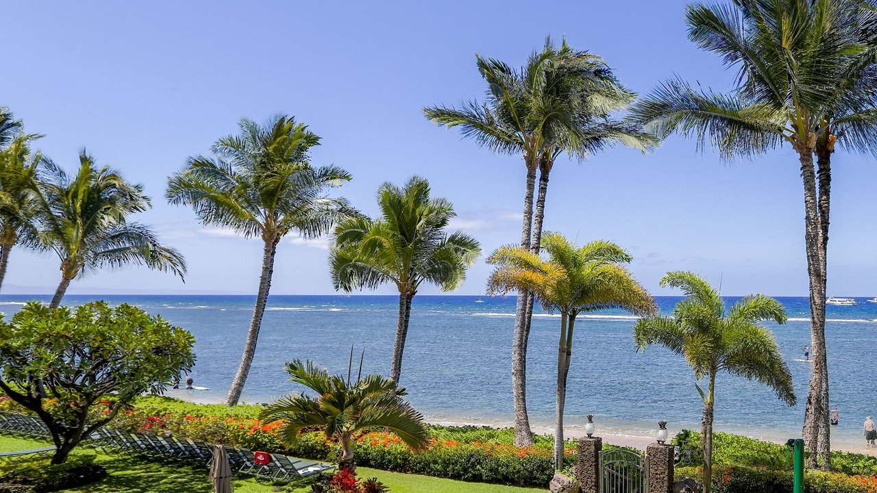 Photo of Others in Historic Lahaina Front Street