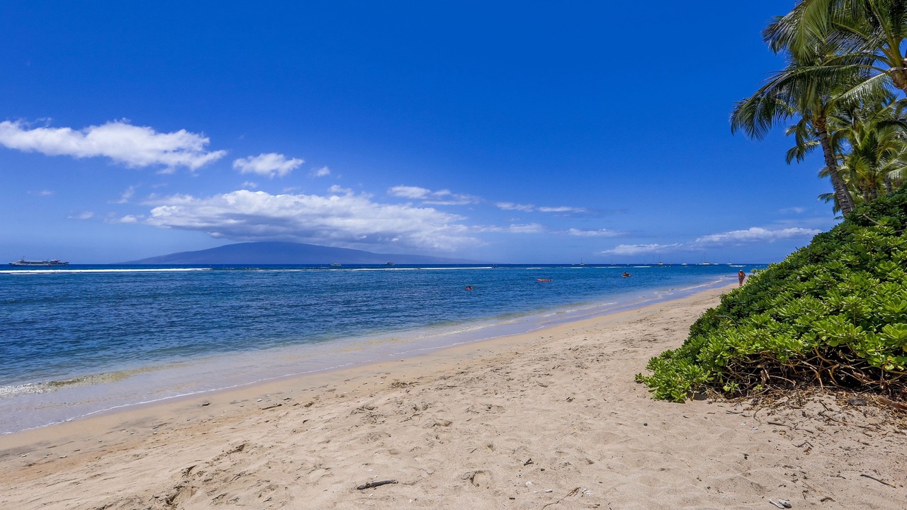 Photo of Others in Historic Lahaina Front Street