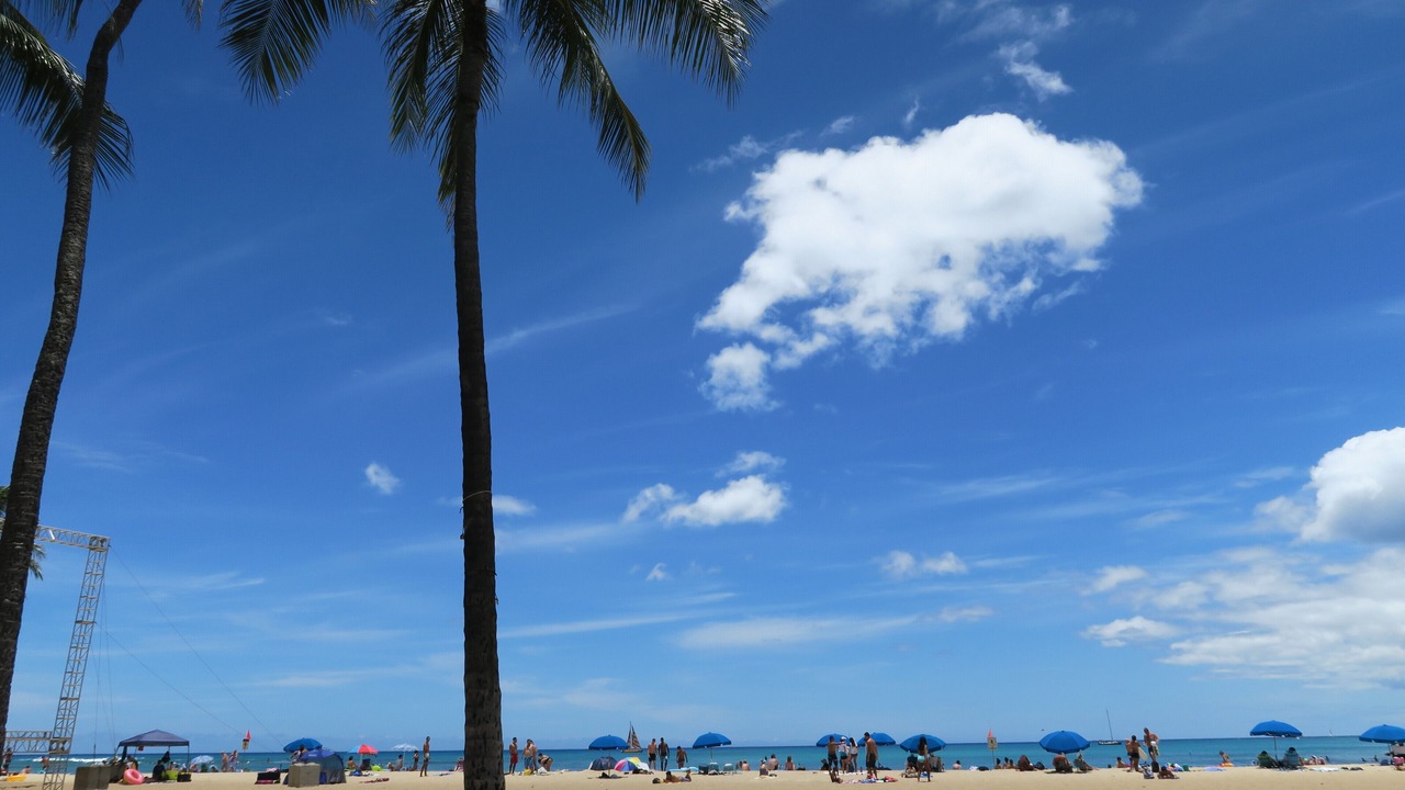 Photo of Others in Waikiki