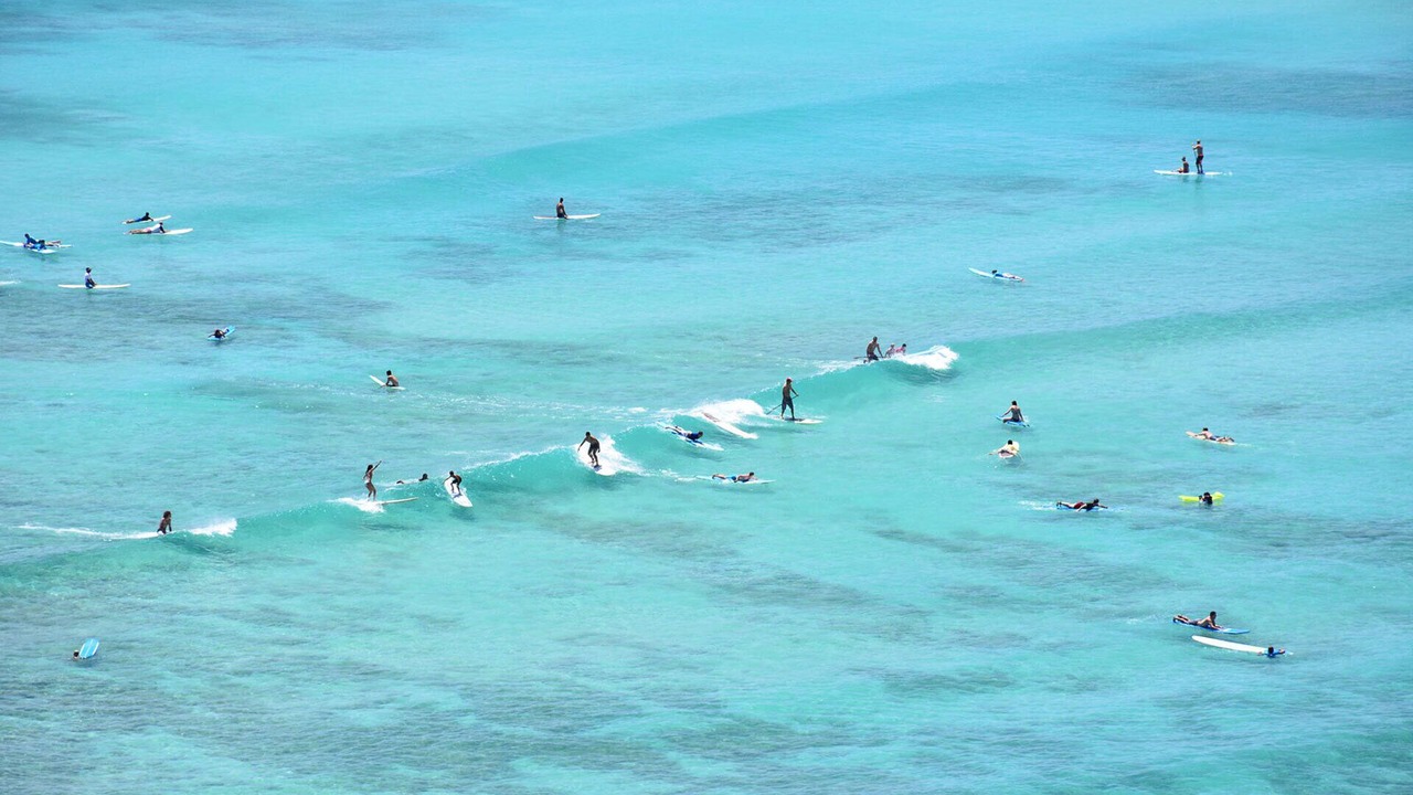 Photo of Others in Waikiki