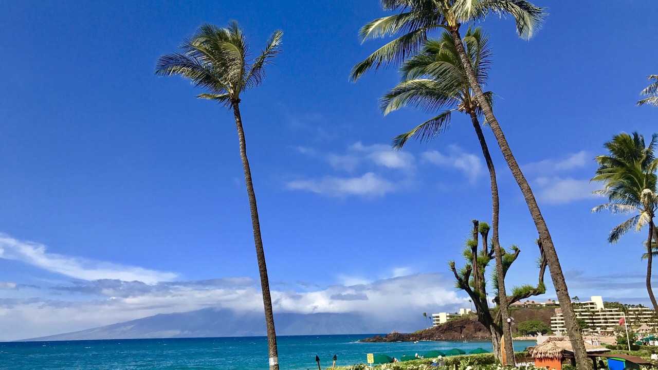 Photo of Others in Kaanapali