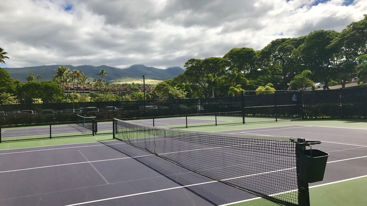 Photo of Others in Kaanapali