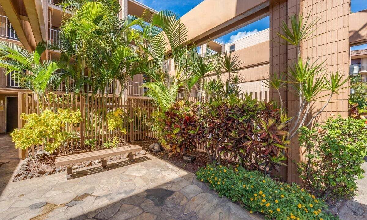Photo of Outdoor in Honokowai