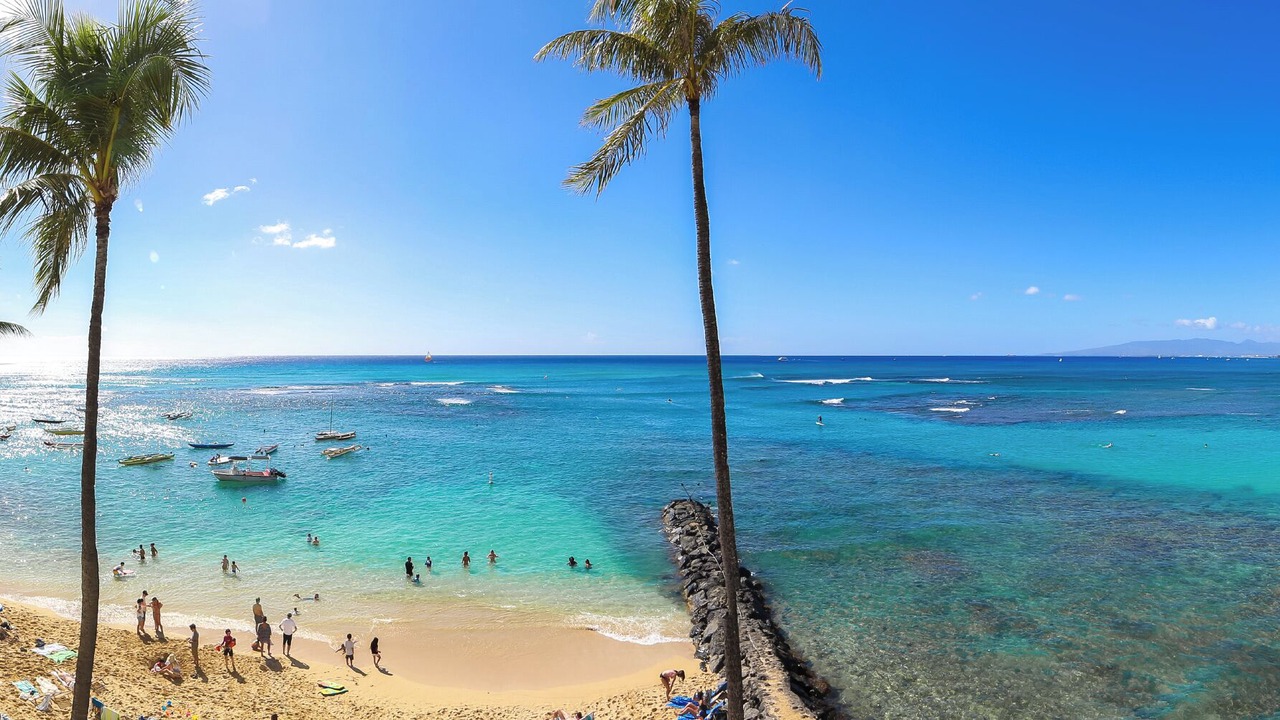 Photo of Others in Diamond Head - Kapahulu - St. Louis