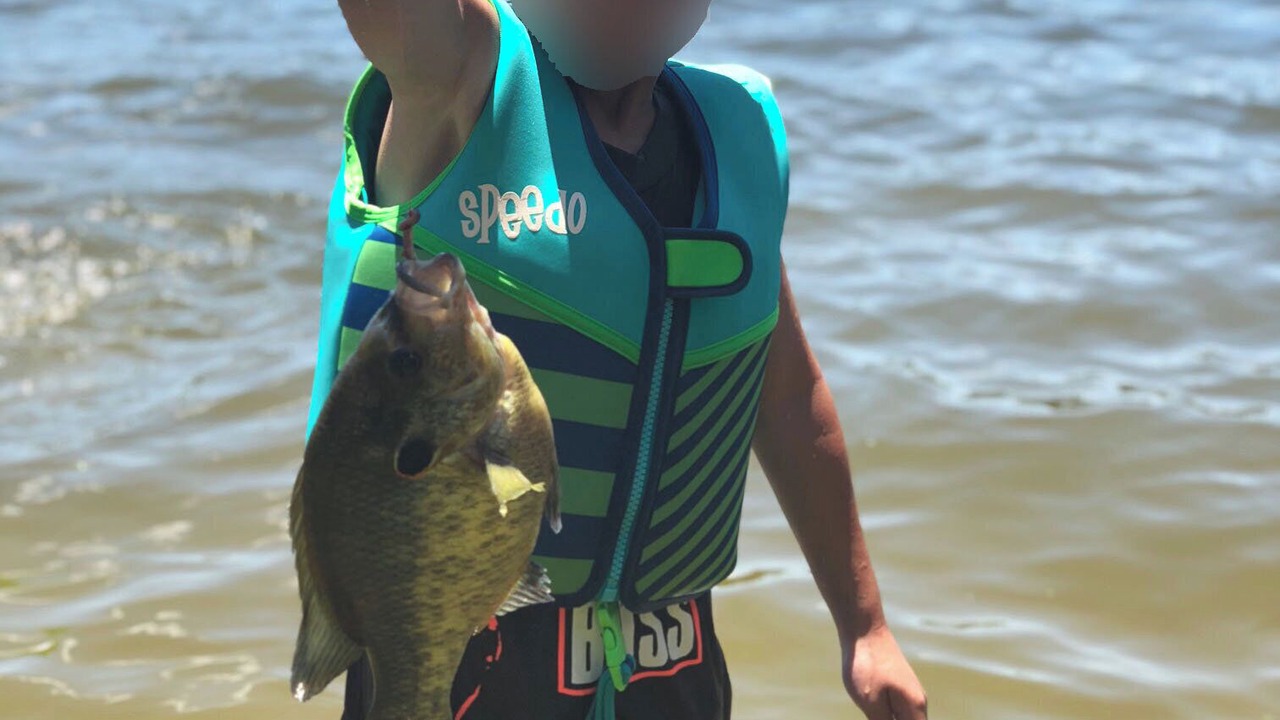 Photo of Others in Holly Lake Ranch