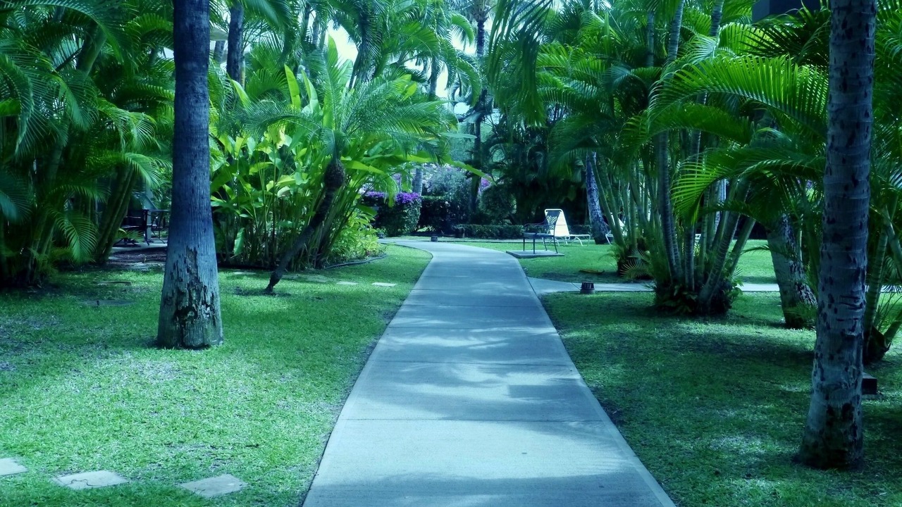Photo of Others in Kihei