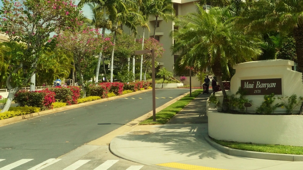 Photo of Others in Kihei