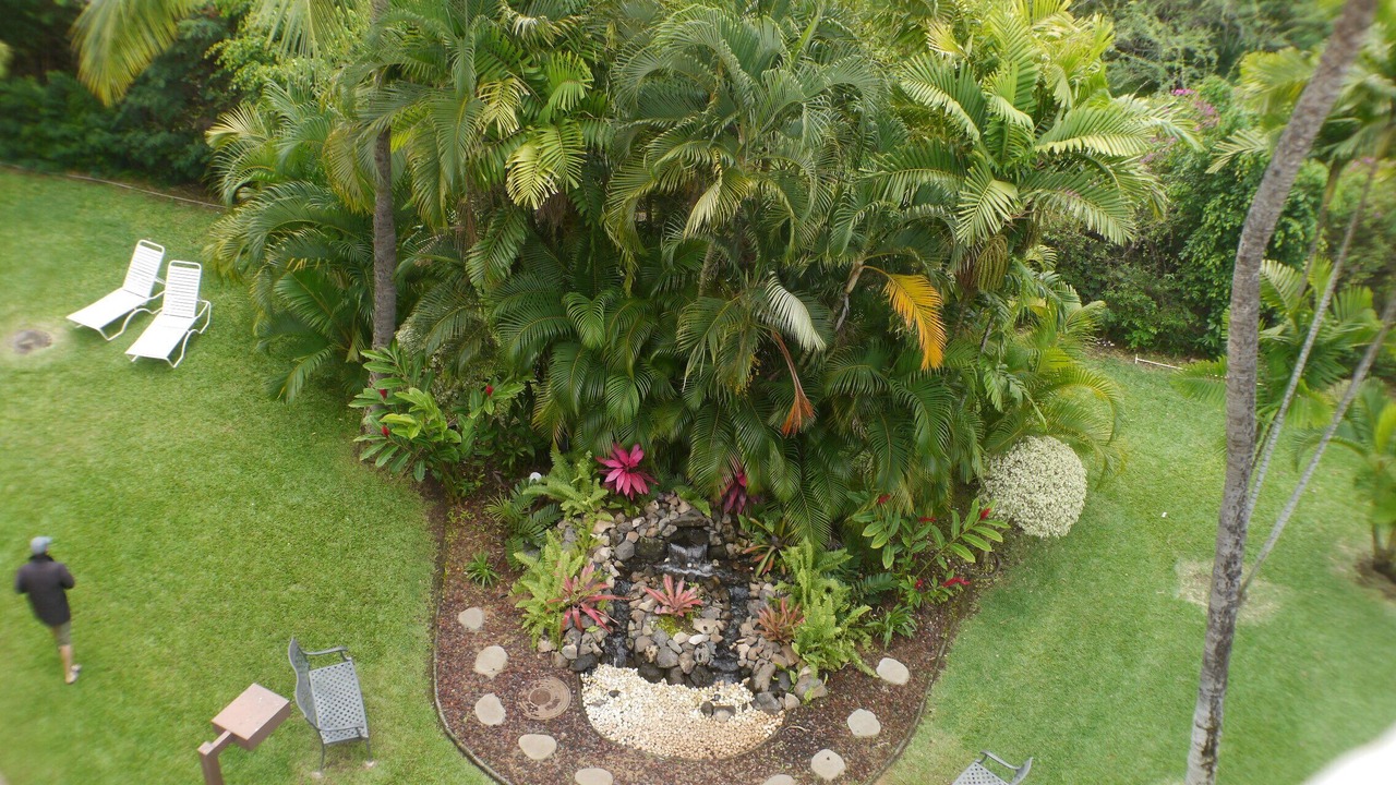 Photo of Others in Kihei