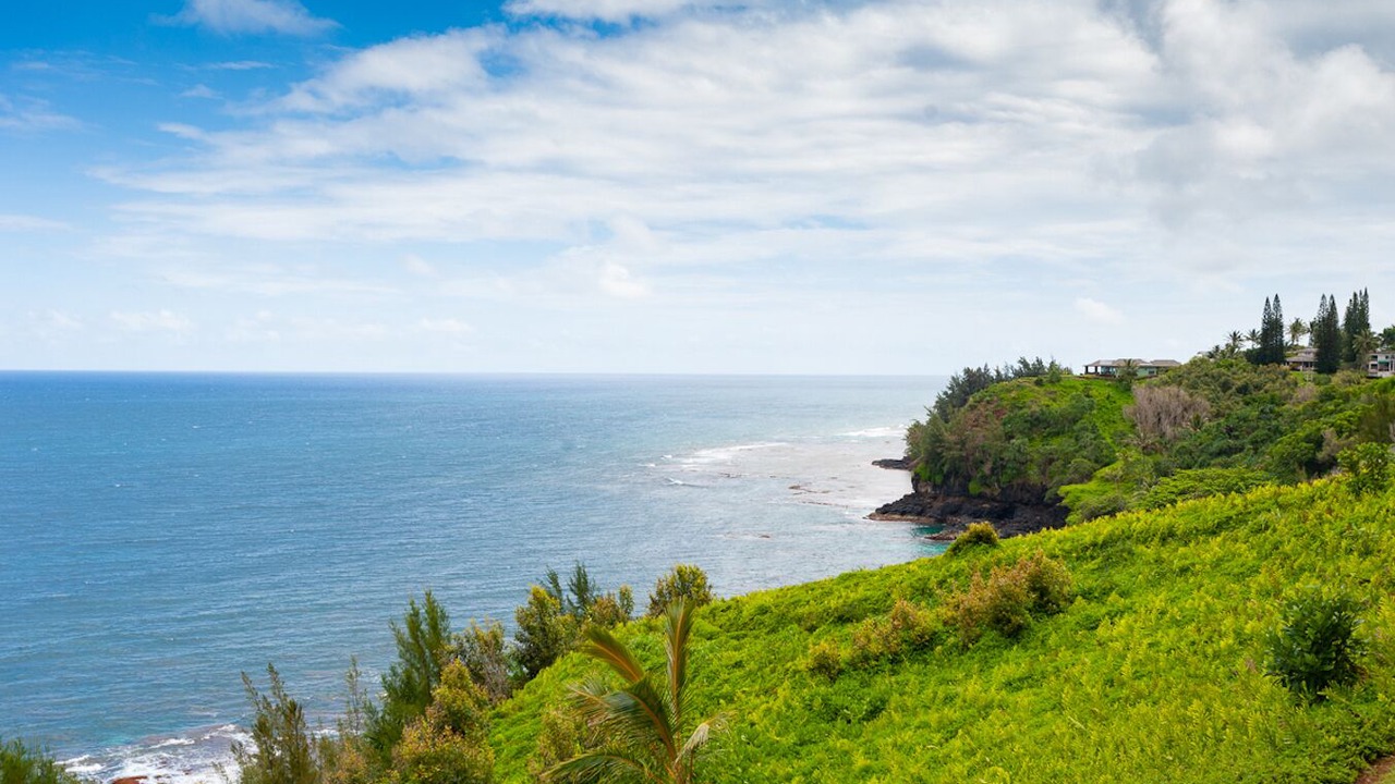 Photo of Others in Princeville