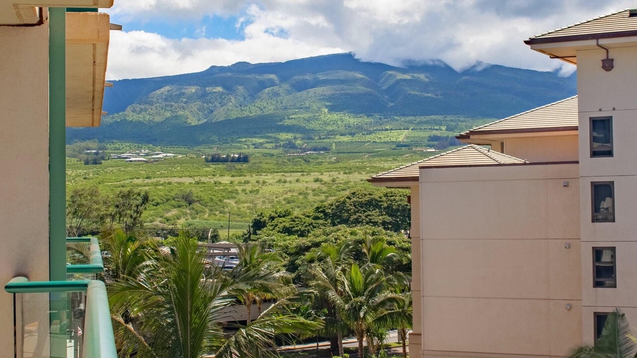 Photo of Others in Kaanapali