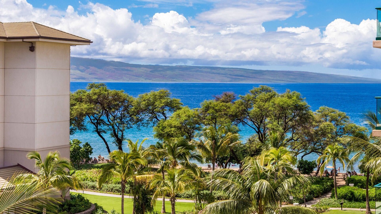 Photo of Others in Kaanapali