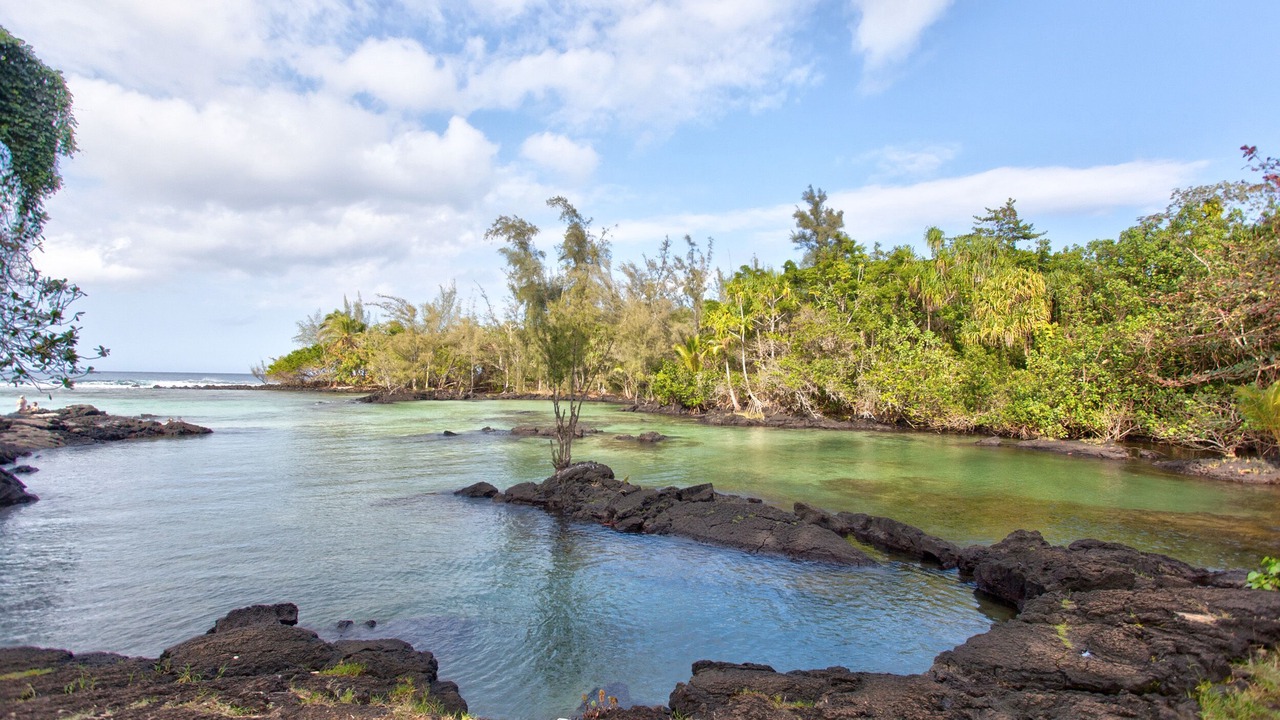 Photo of Others in Hilo