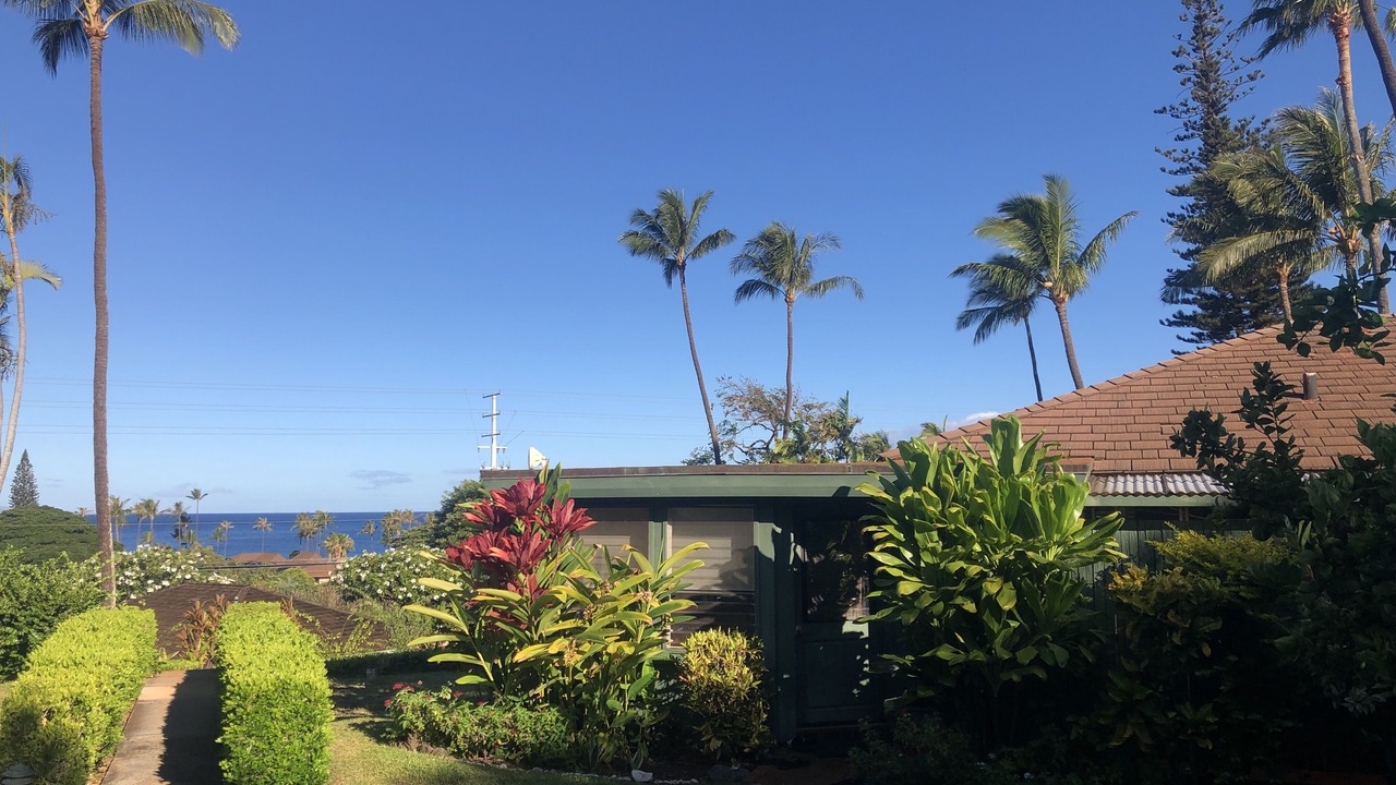 Photo of Others in Kaanapali