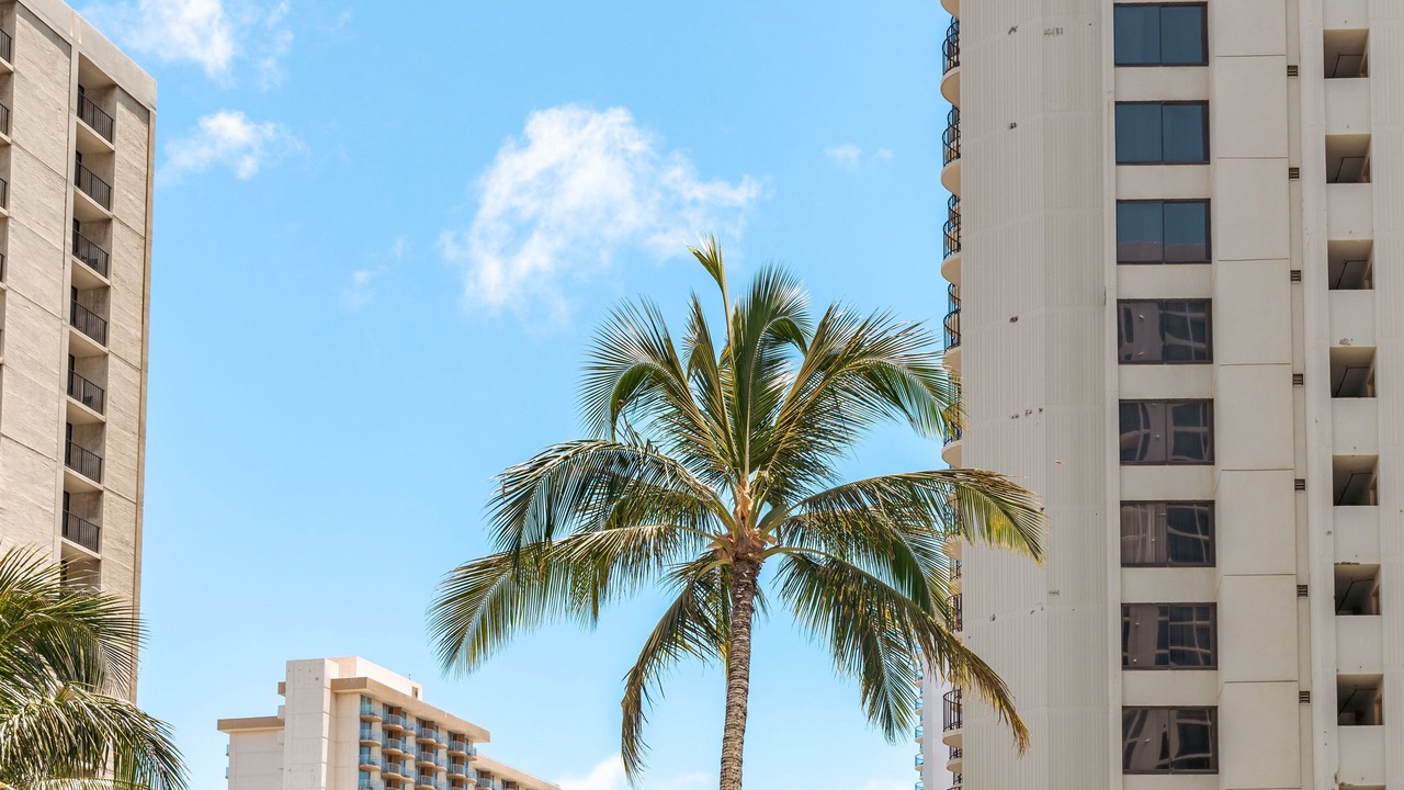 Photo of Others in Waikiki