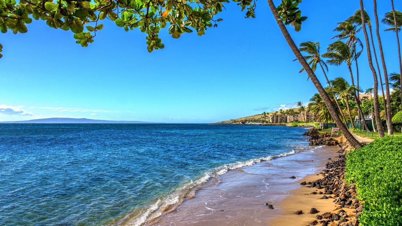 Photo of Others in Maalaea