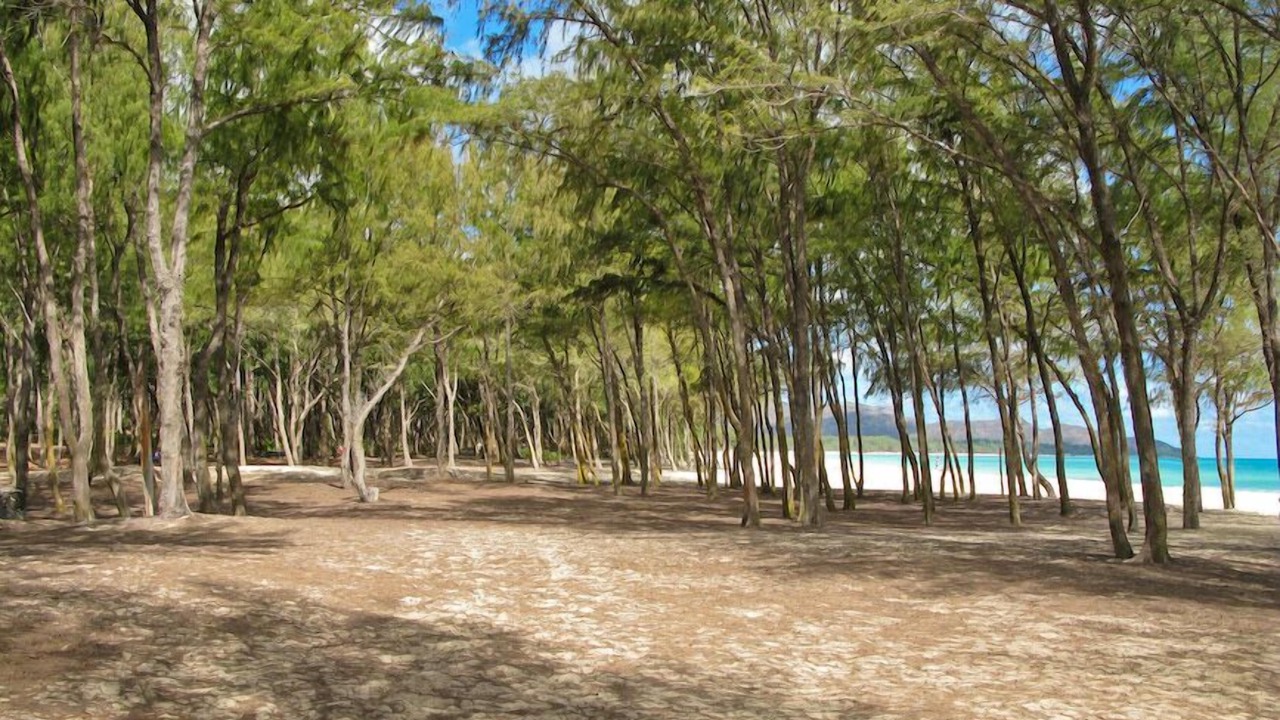 Photo of Others in Waimanalo