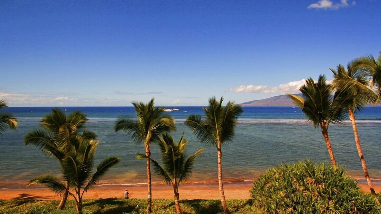 Photo of Others in Historic Lahaina Front Street