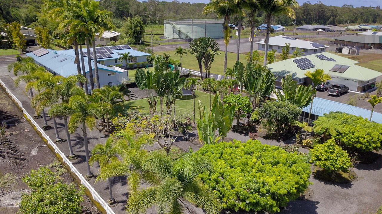 Photo of Outdoor in Hilo