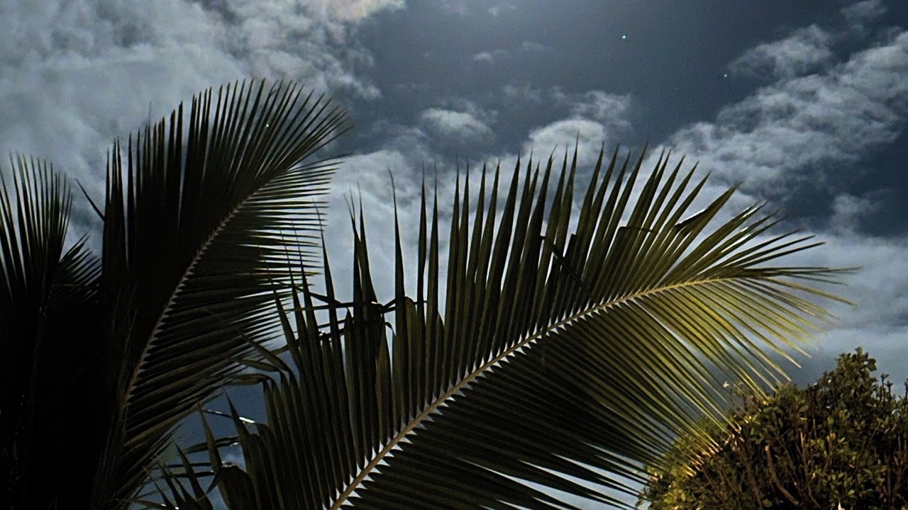 Photo of Outdoor in Kihei