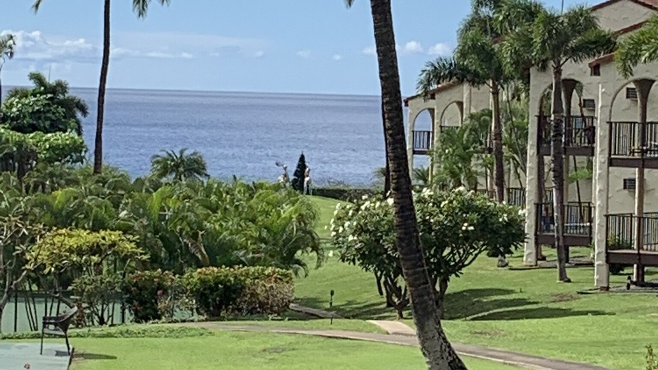 Photo of Outdoor in Kihei