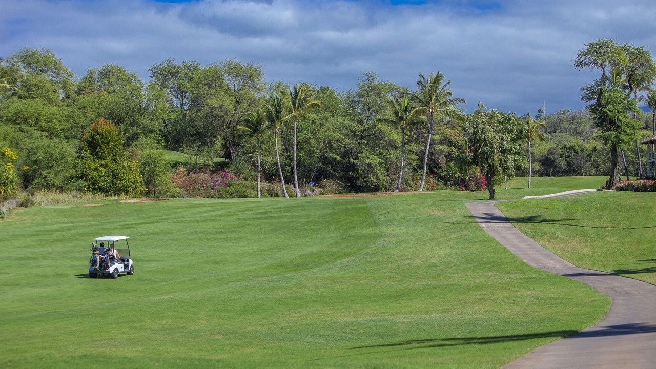 Photo of Others in Wailea