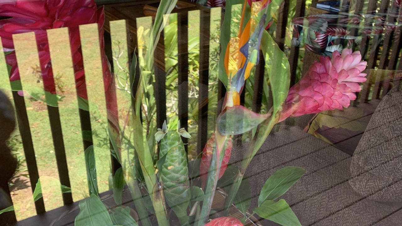 Photo of Outdoor in Pupukea