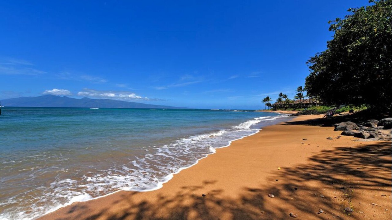 Photo of Others in Kahana