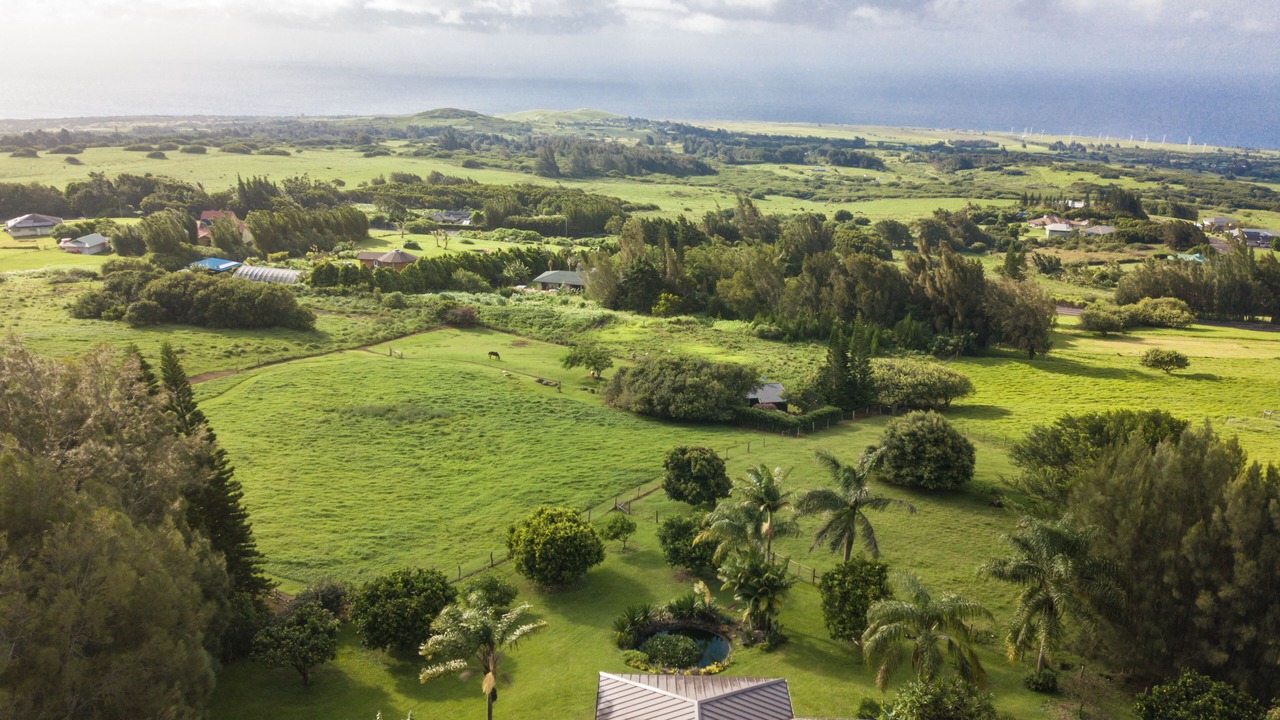 Photo of Others in Hawi