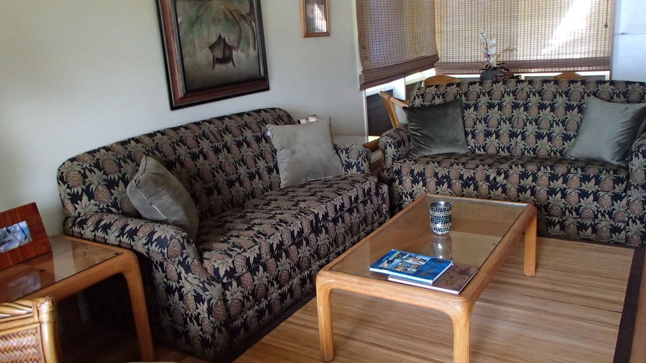 Photo of Livingroom in Maunaloa