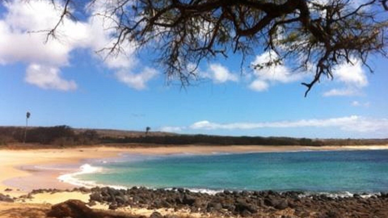Photo of Others in Maunaloa