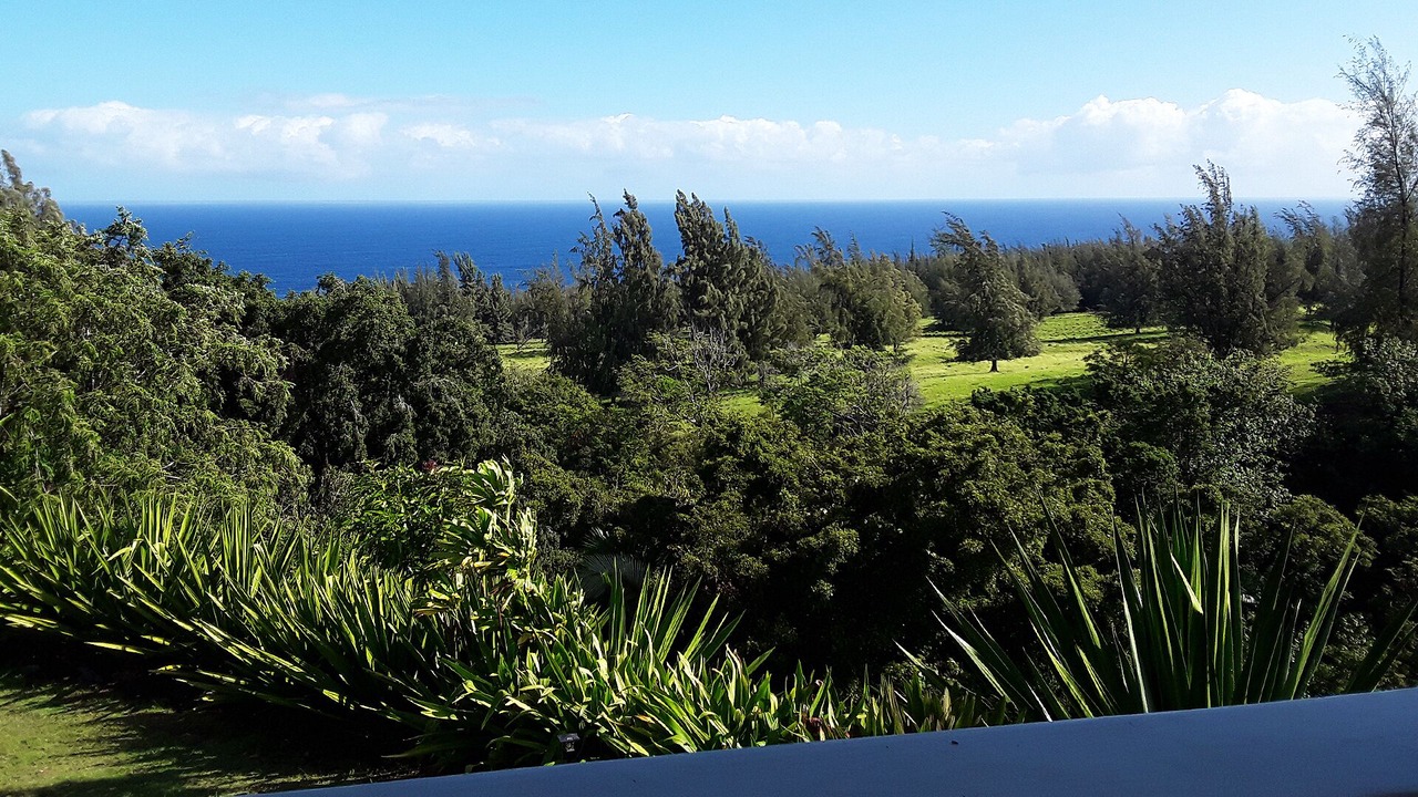 Photo of Others in Honokaa