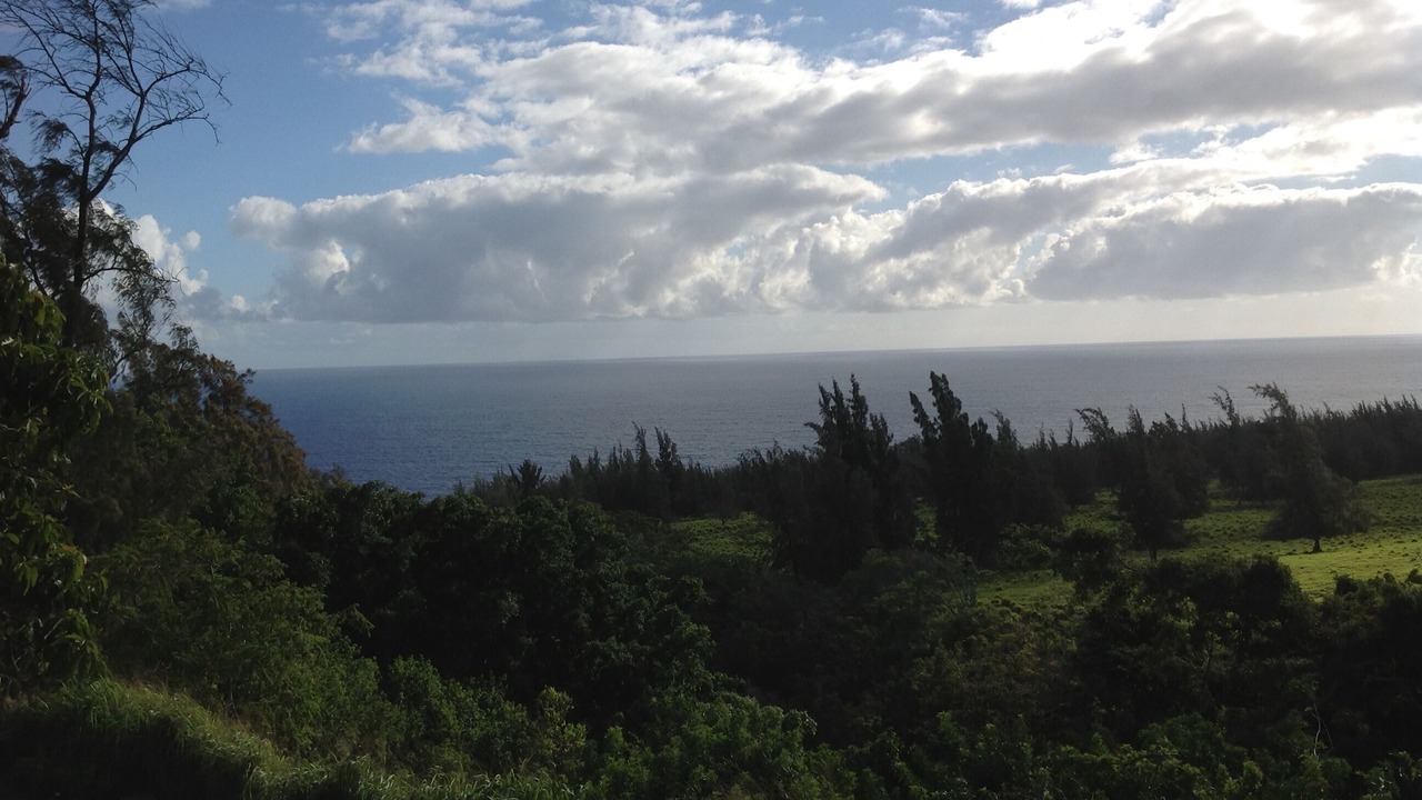 Photo of Others in Honokaa