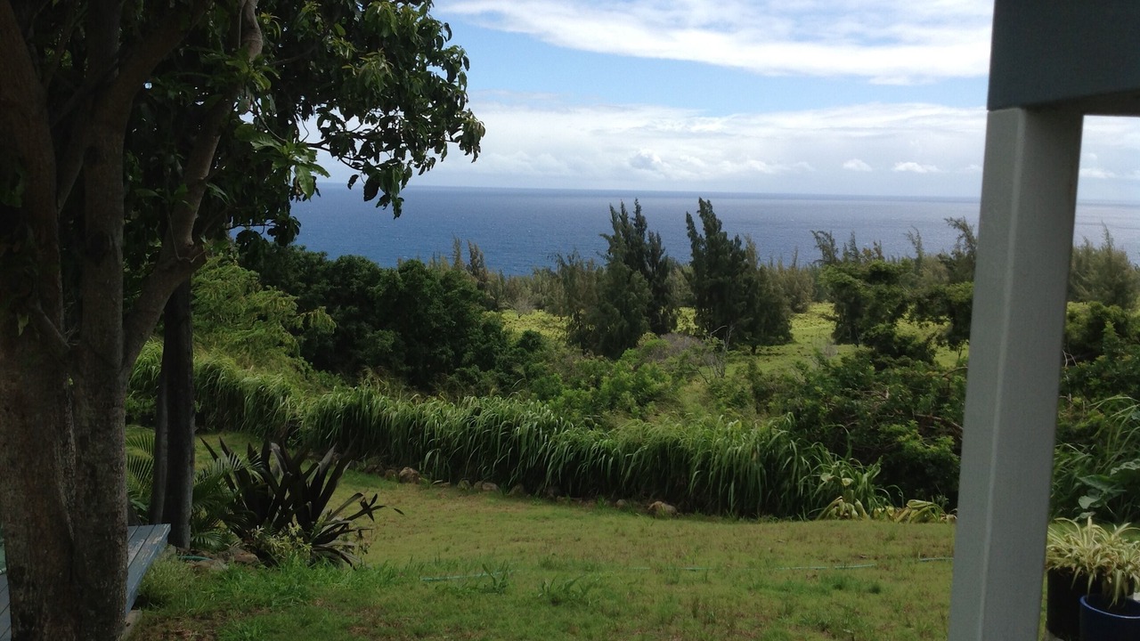 Photo of Others in Honokaa