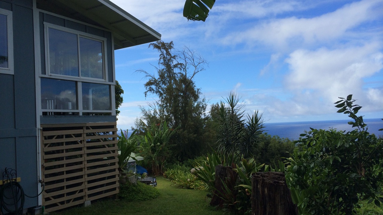 Photo of Outdoor in Honokaa