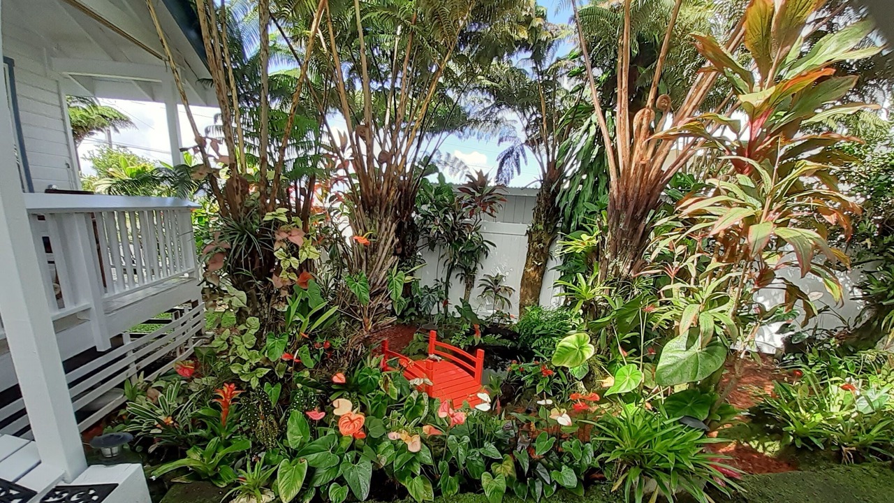 Photo of Outdoor in Hilo