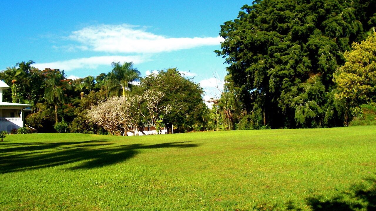 Photo of Others in Keaau