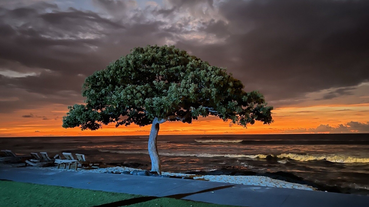 Photo of Outdoor in Kamuela