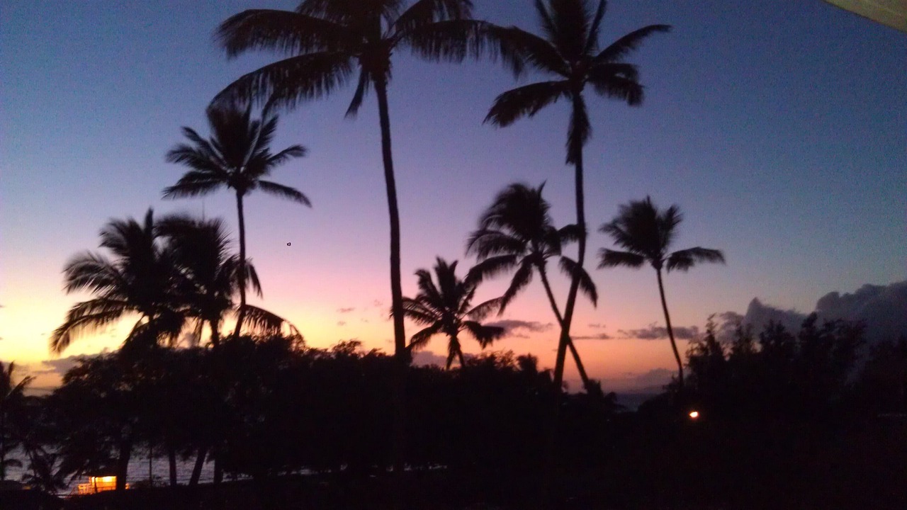 Photo of Others in Kihei