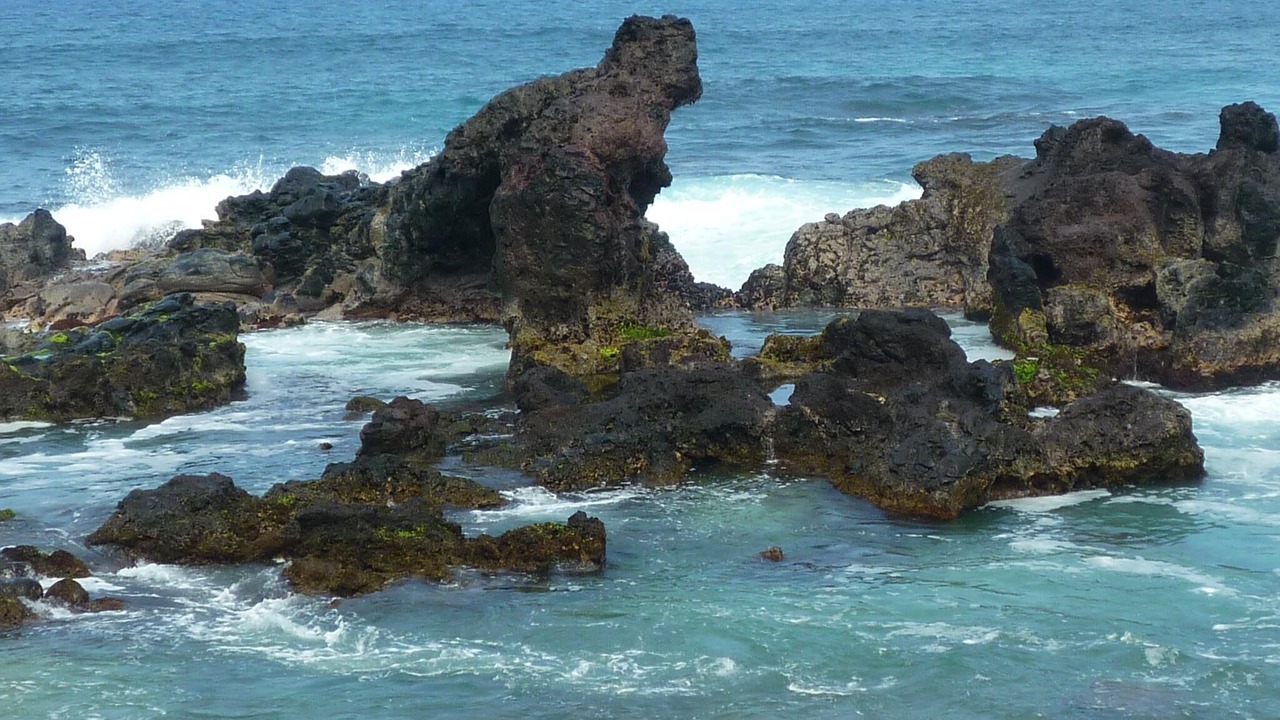 Photo of Others in Kihei