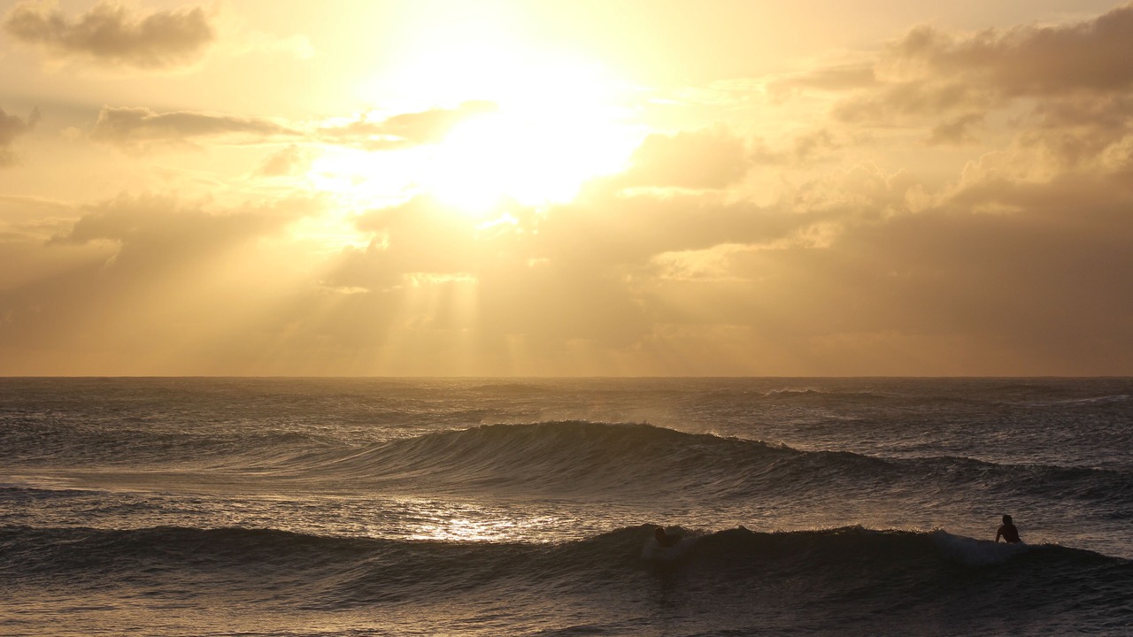 Photo of Others in Laie