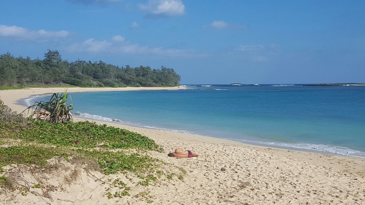 Photo of Others in Laie