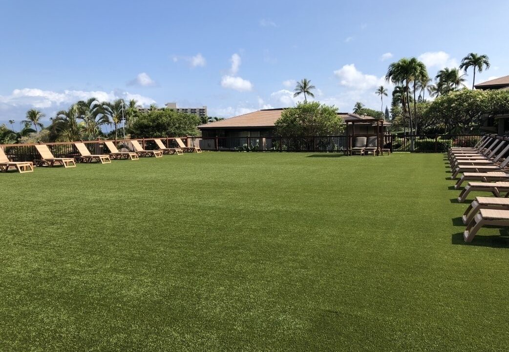 Photo of Outdoor in Kaanapali