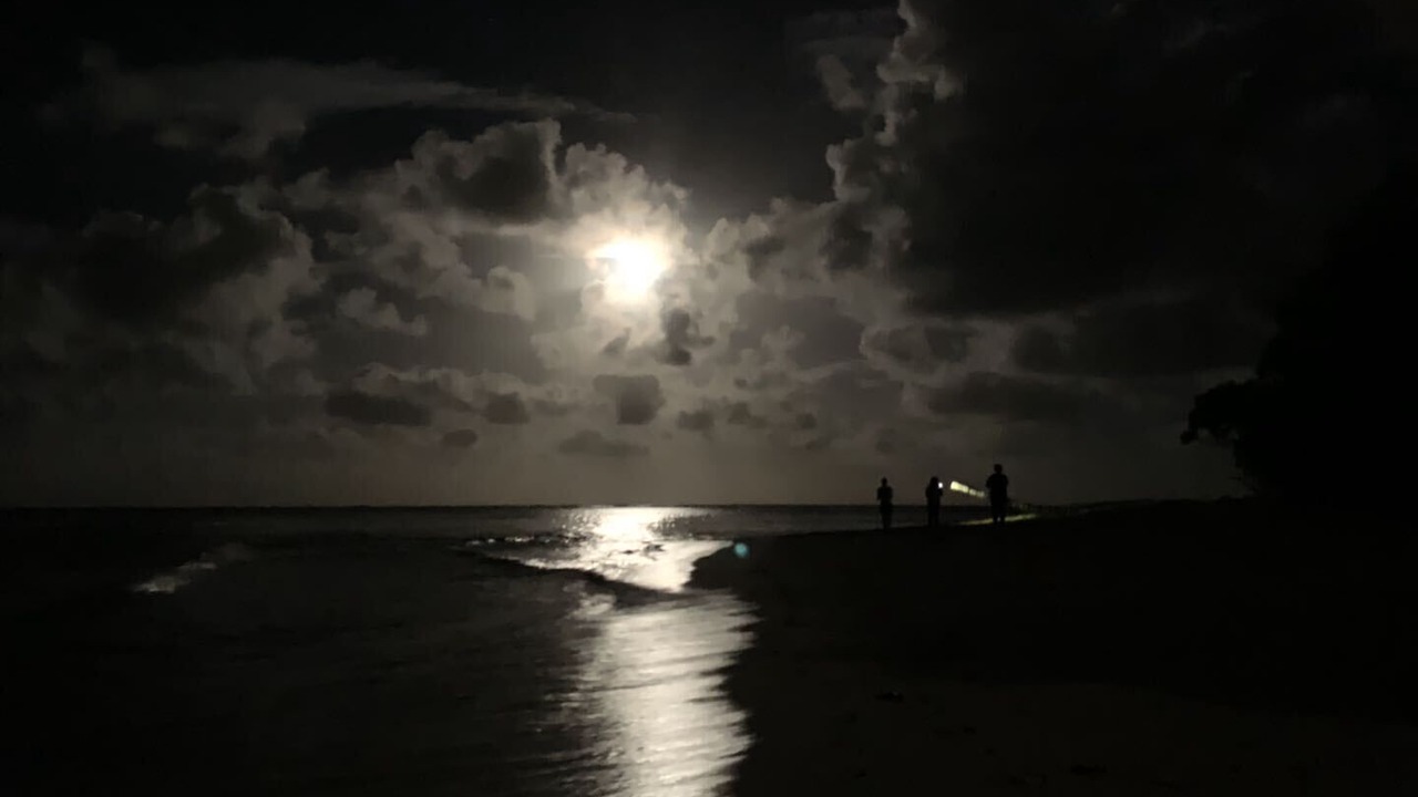 Photo of Others in Hauula