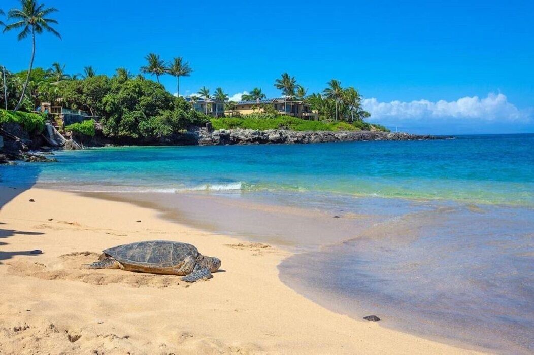 Photo of Others in Kahana
