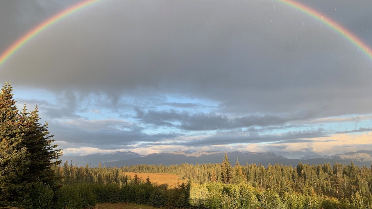 Photo of Others in Homer